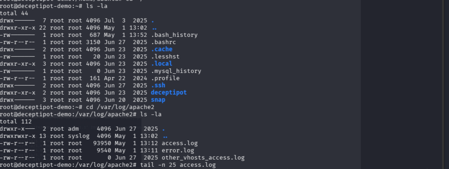 tail of access log showing later attacker activity